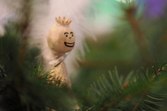 IMG_1503-1