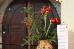 IMG_1507-1